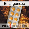 Enlargenexx levitra1